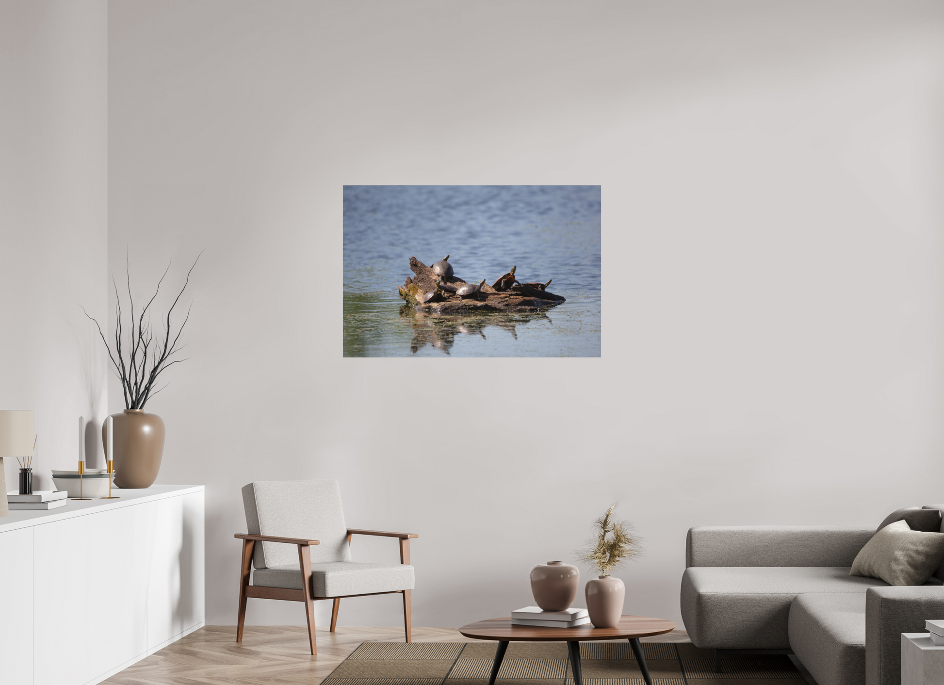 Turtle Team - Print Only