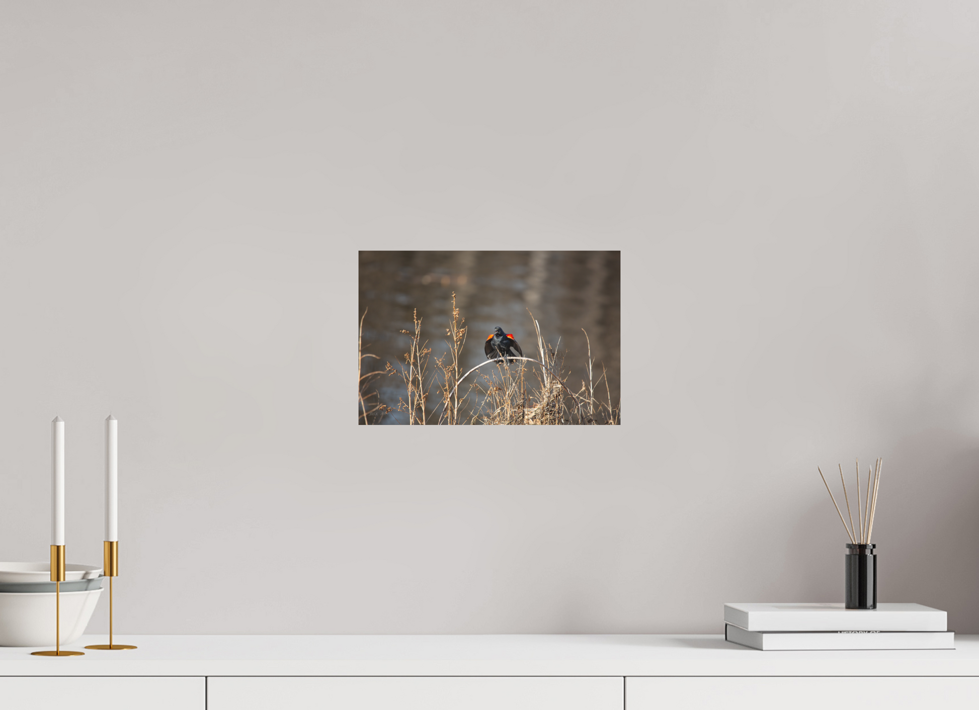 Red-Winged Blackbird - Print Only