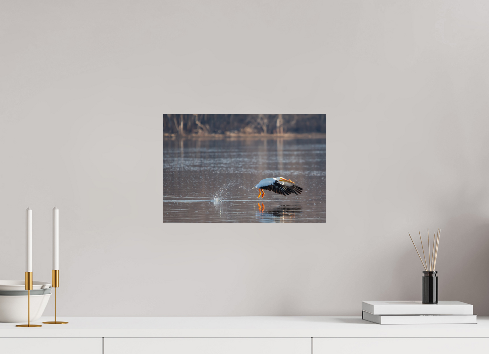 Pelican Taking Flight - Print Only