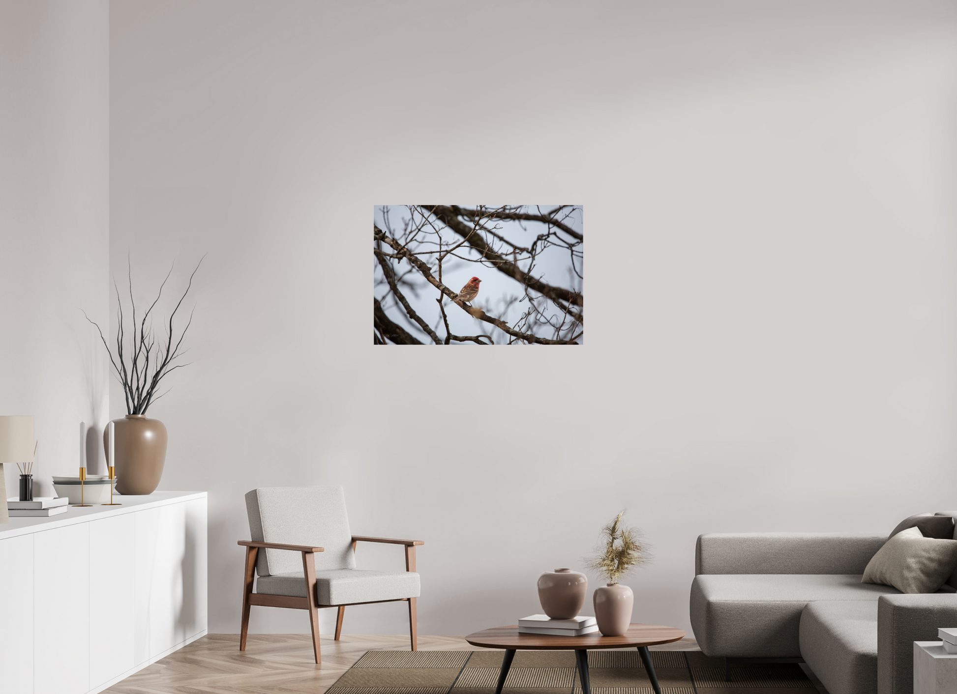 Purple Finch - Print Only