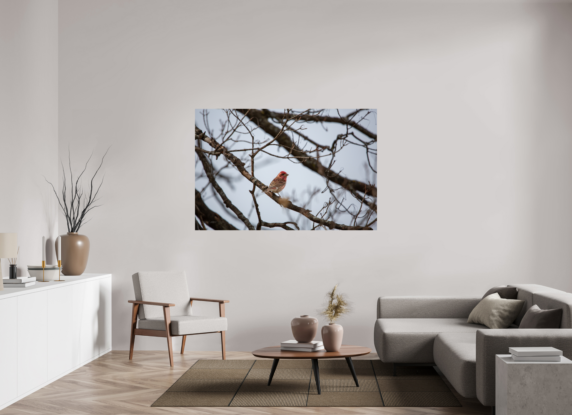 Purple Finch - Print Only