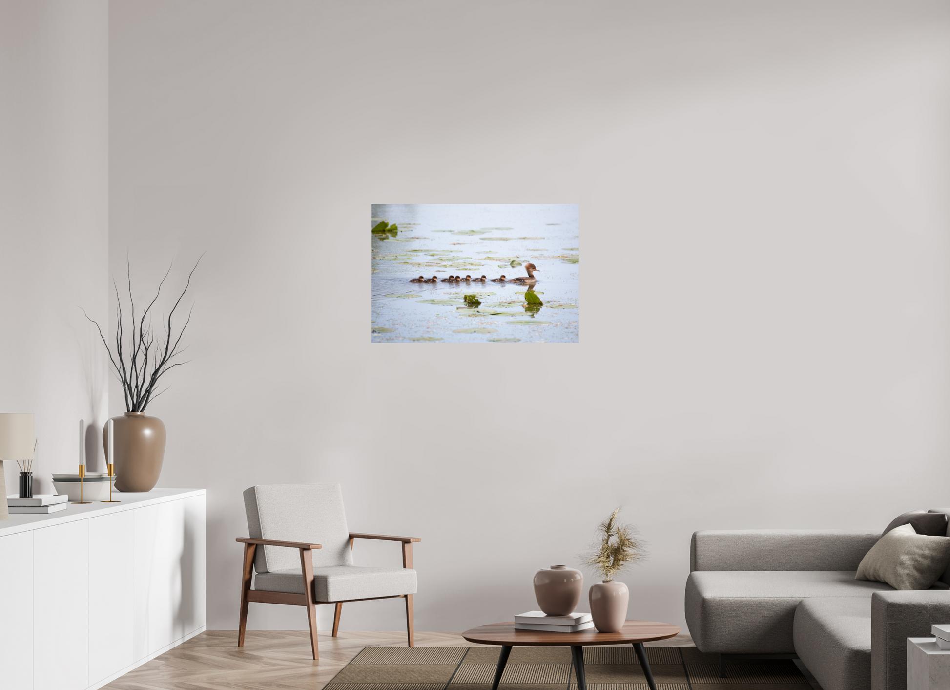 Hooded Merganser Momma - Print Only