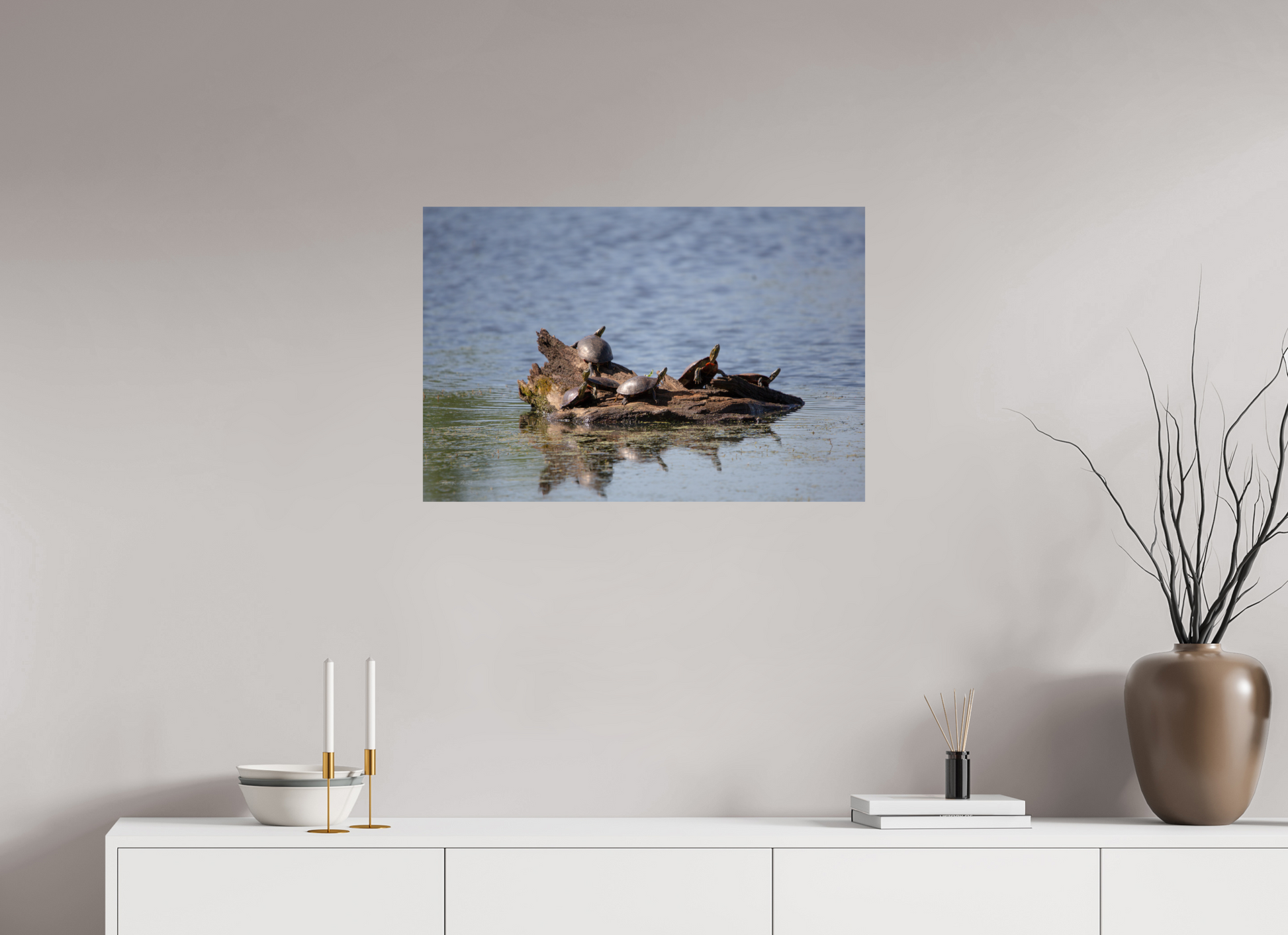 Turtle Team - Print Only
