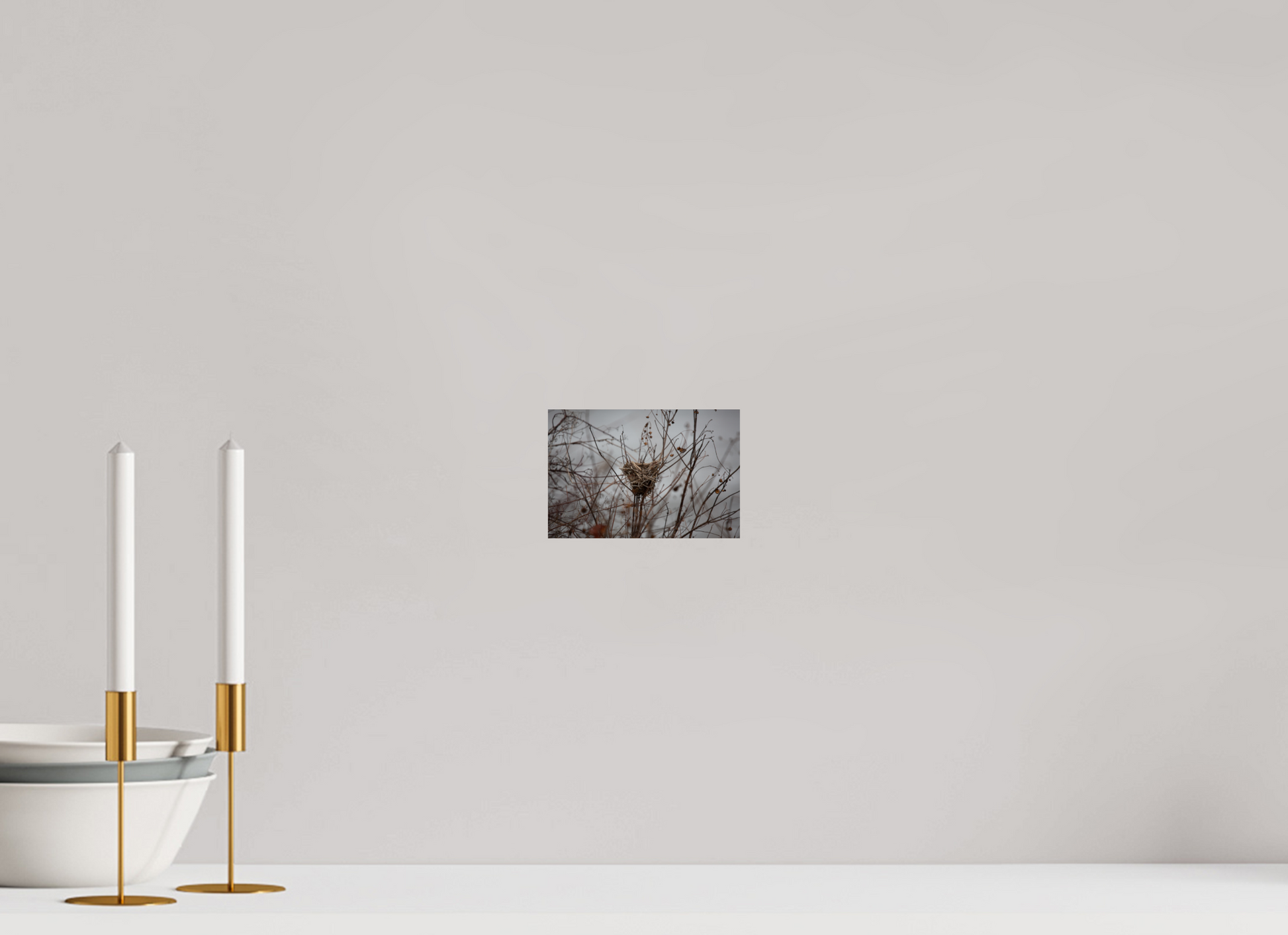 Bird Nest - Print Only
