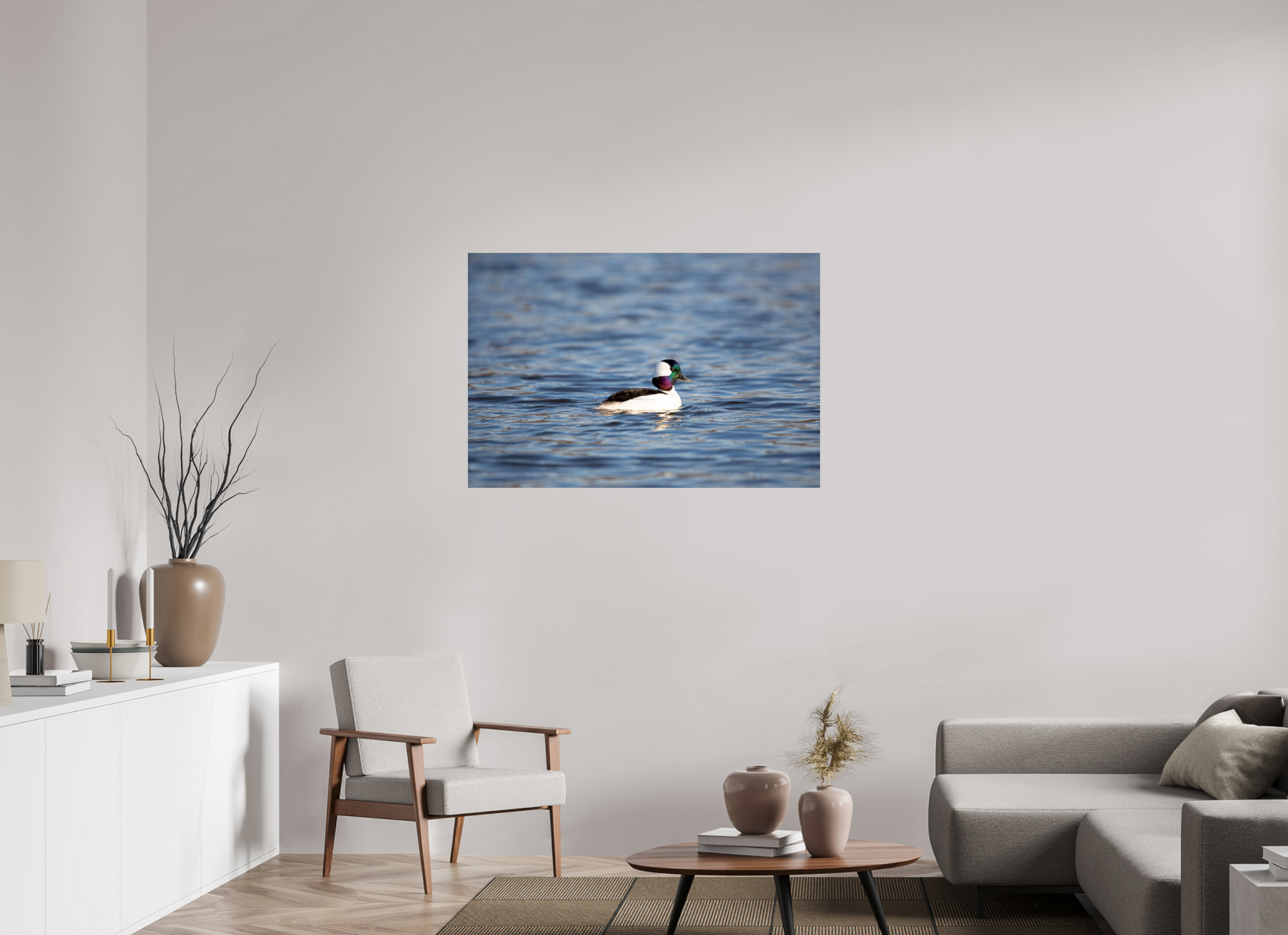 Bufflehead Colors - Print Only