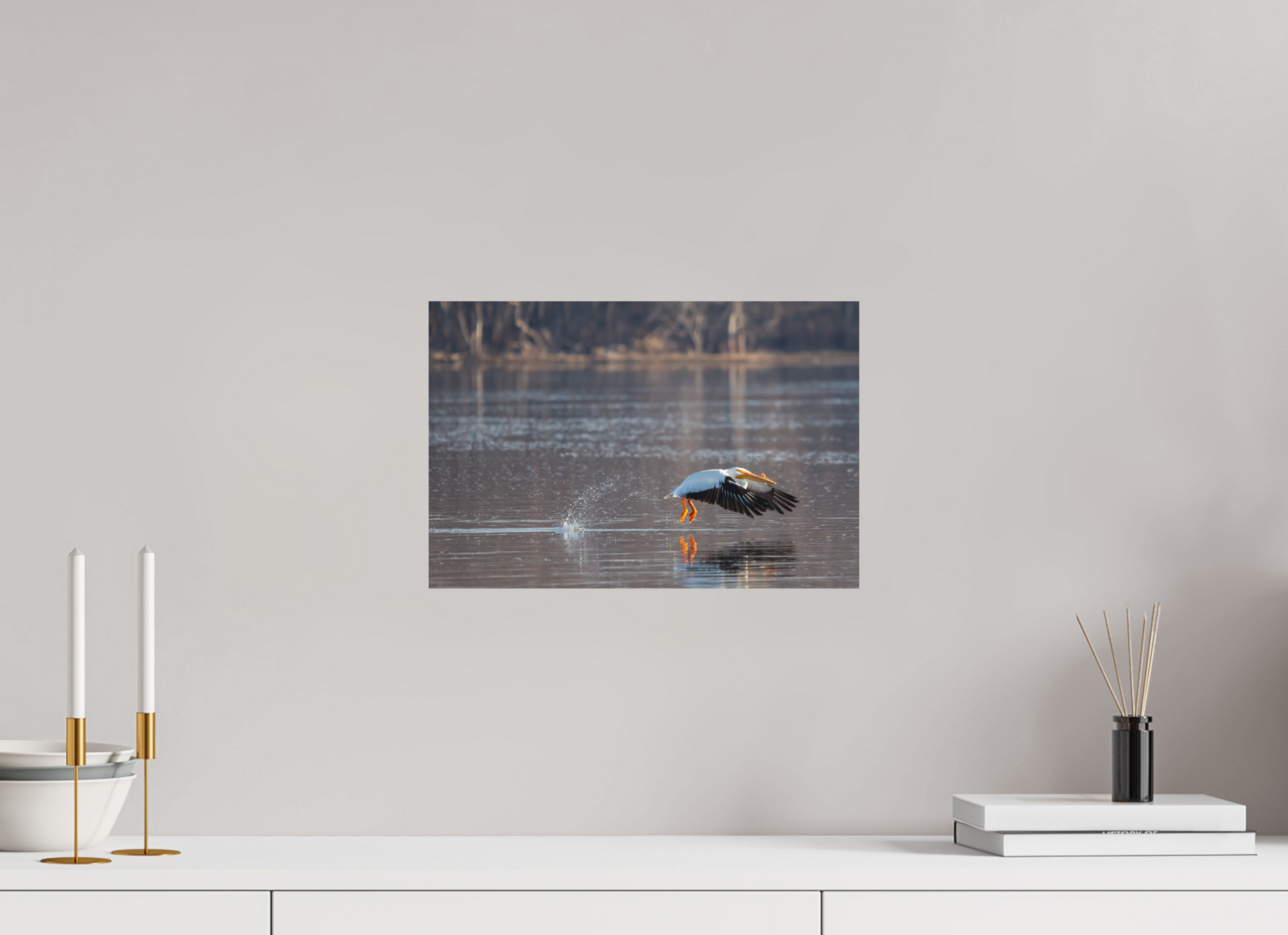 Pelican Taking Flight - Print Only