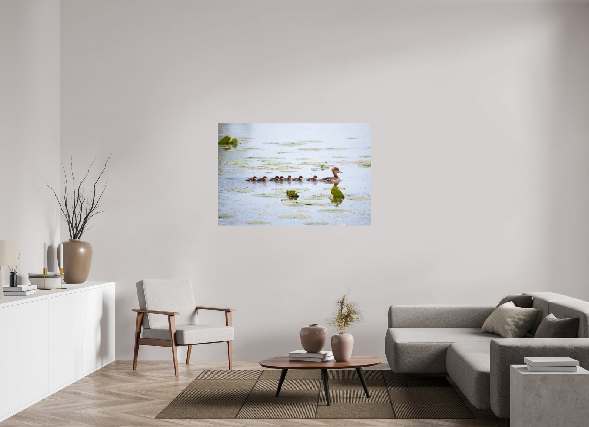 Hooded Merganser Momma - Print Only