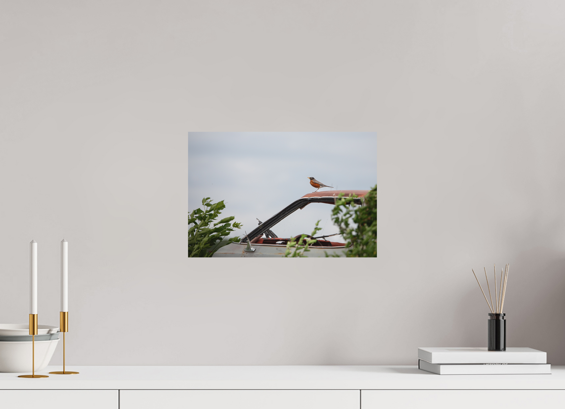 Robin on Old Car - Print Only