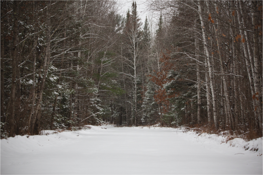 Fresh Snow Country Road - Print Only
