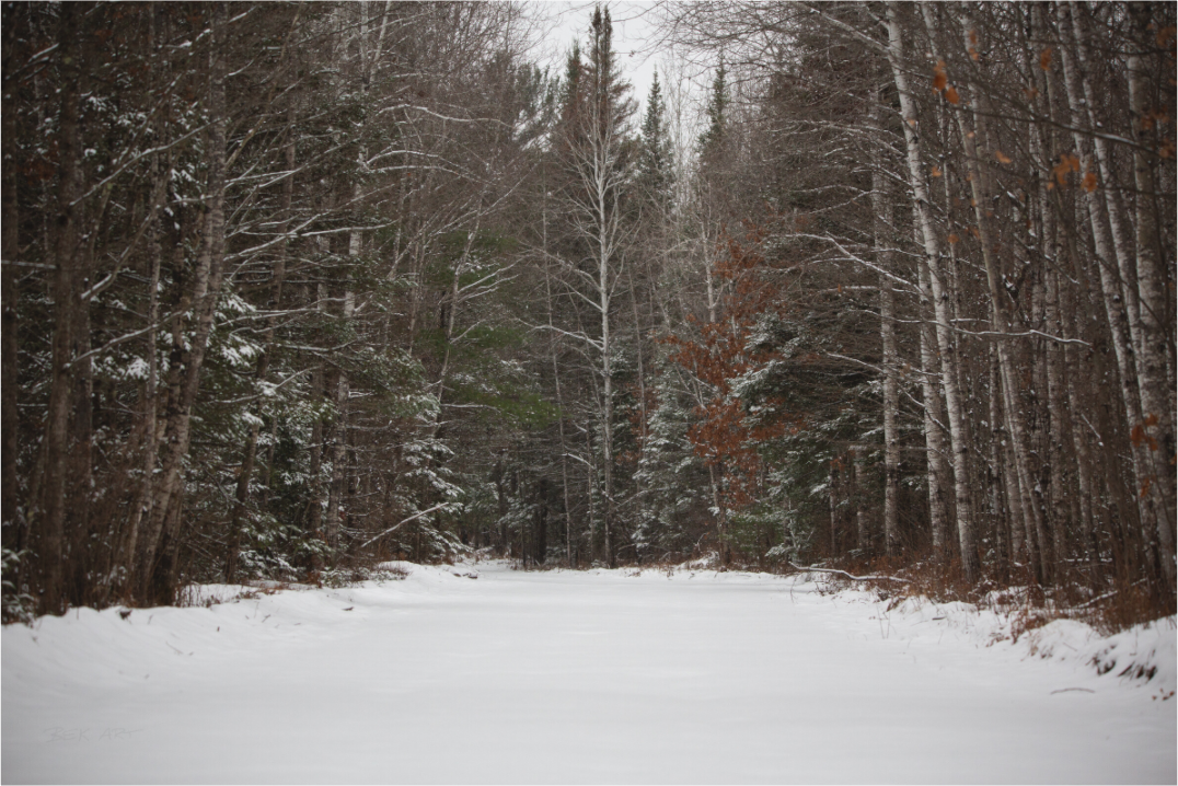 Fresh Snow Country Road - Print Only