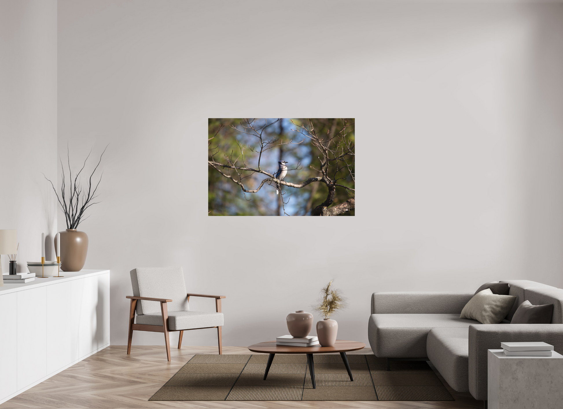Blue Jay Posing - Print Only