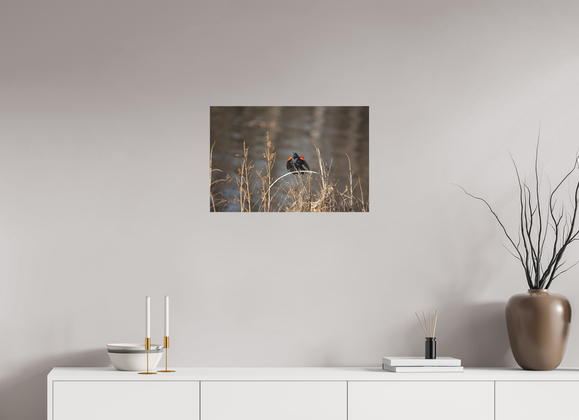 Red-Winged Blackbird - Print Only