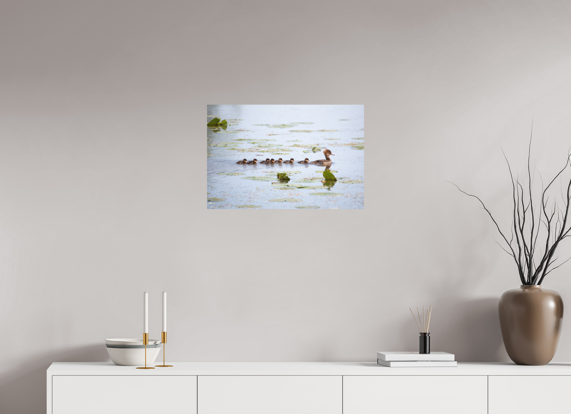 Hooded Merganser Momma - Print Only