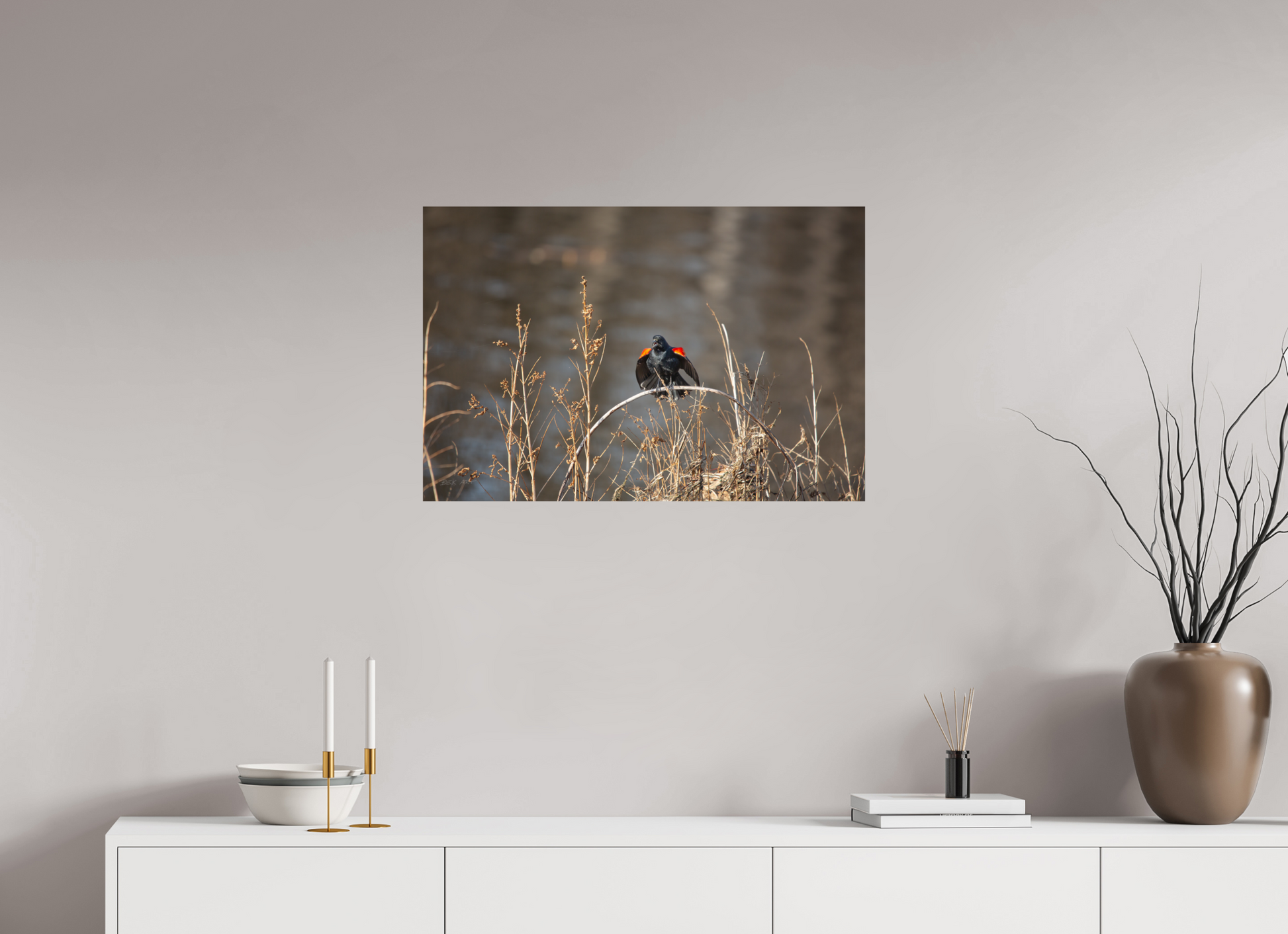 Red-Winged Blackbird - Print Only