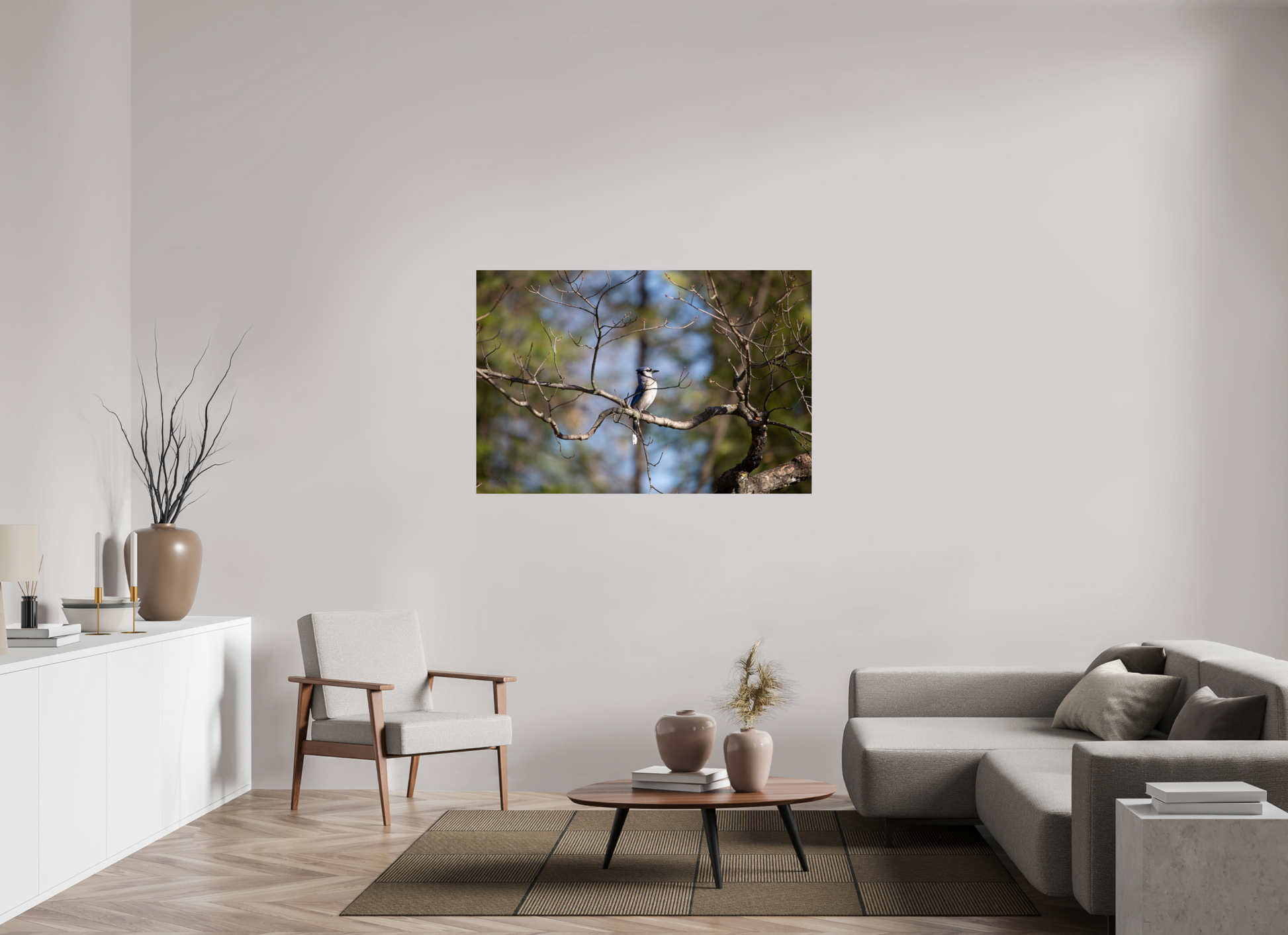 Blue Jay Posing - Print Only