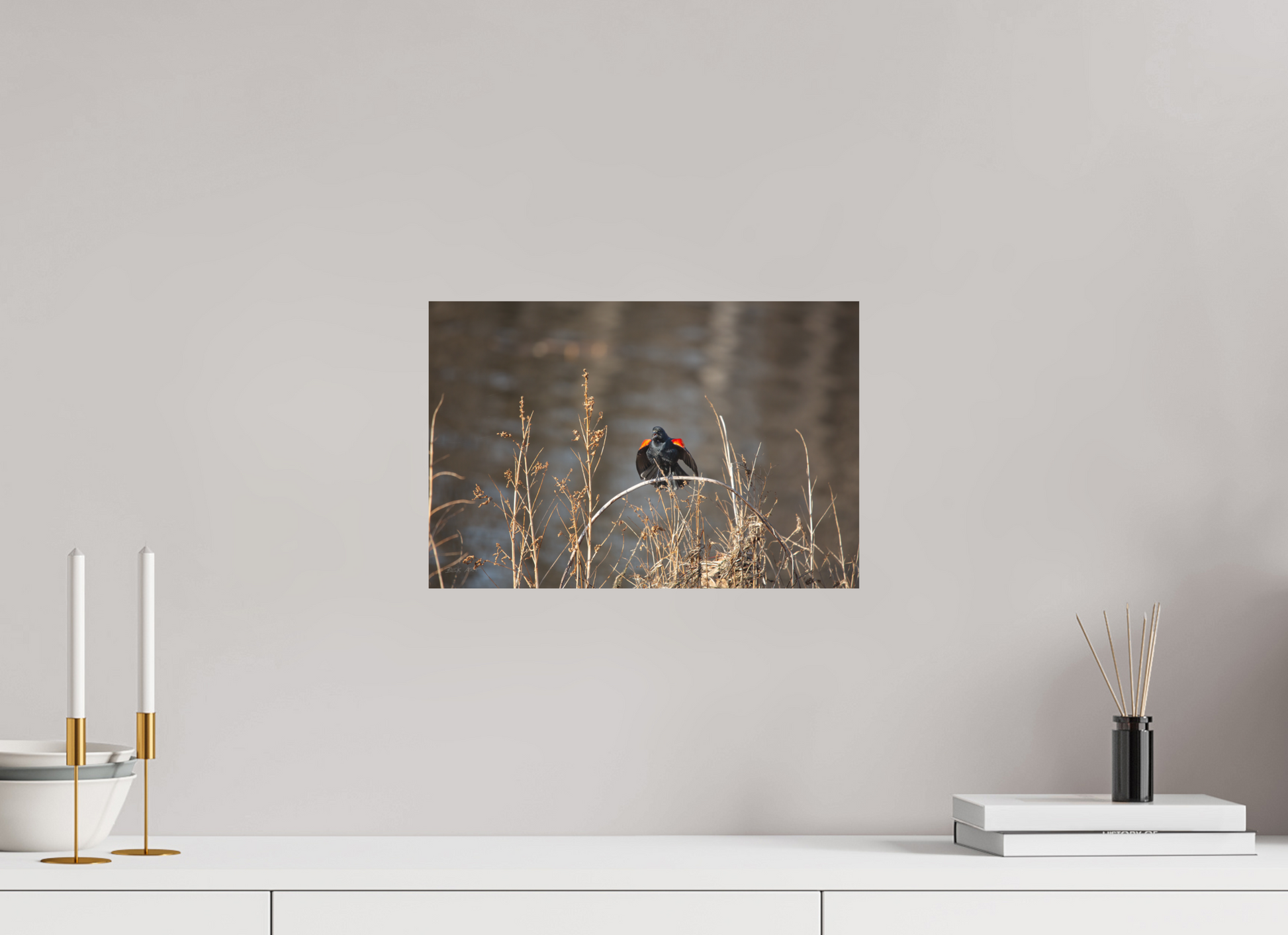 Red-Winged Blackbird - Print Only