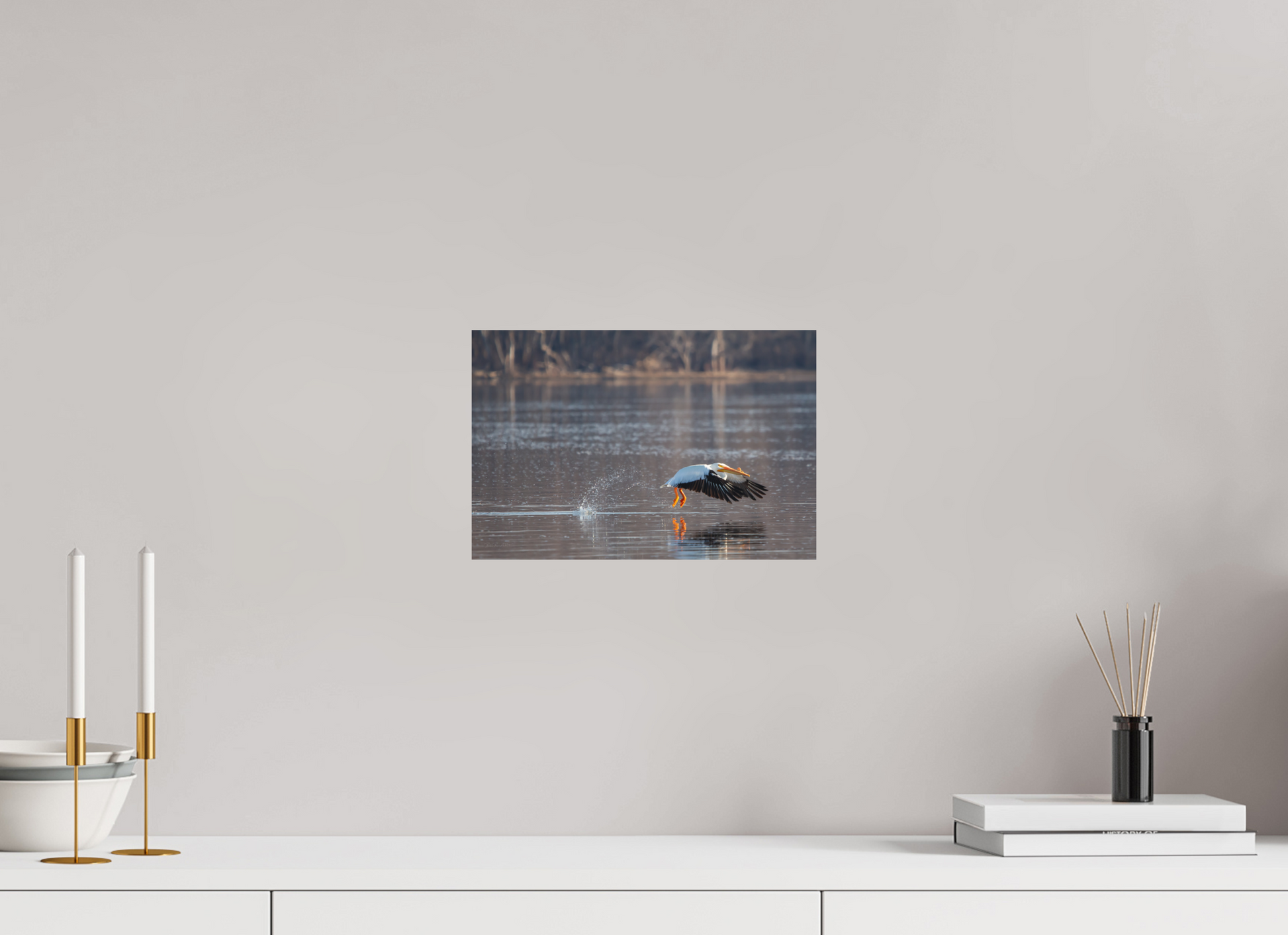 Pelican Taking Flight - Print Only