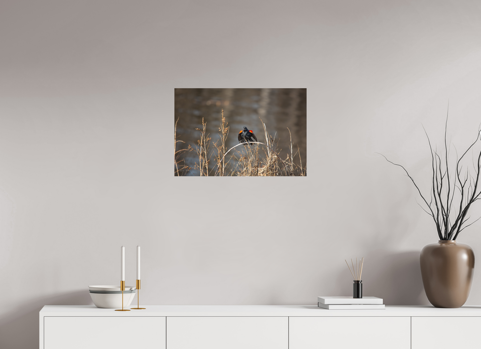 Red-Winged Blackbird - Print Only
