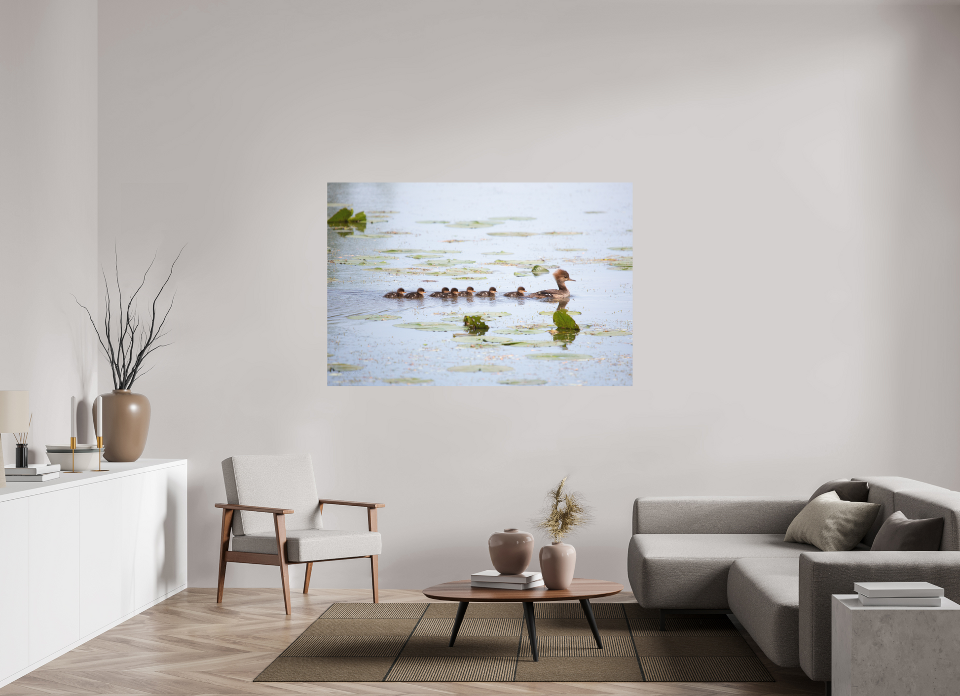 Hooded Merganser Momma - Print Only