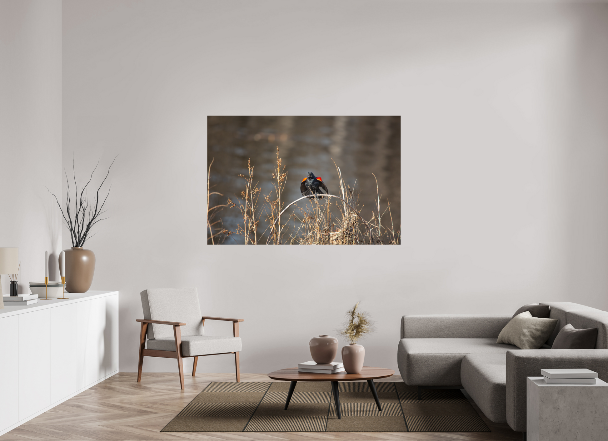 Red-Winged Blackbird - Print Only