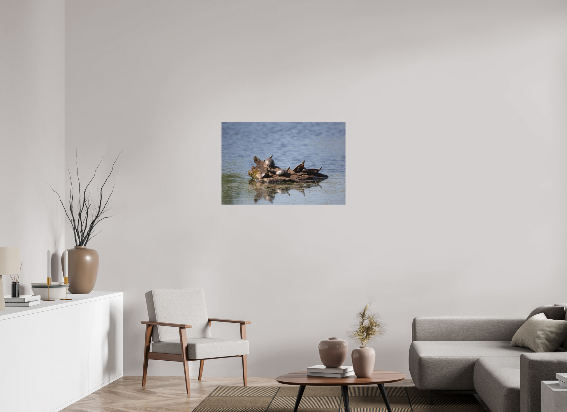 Turtle Team - Print Only