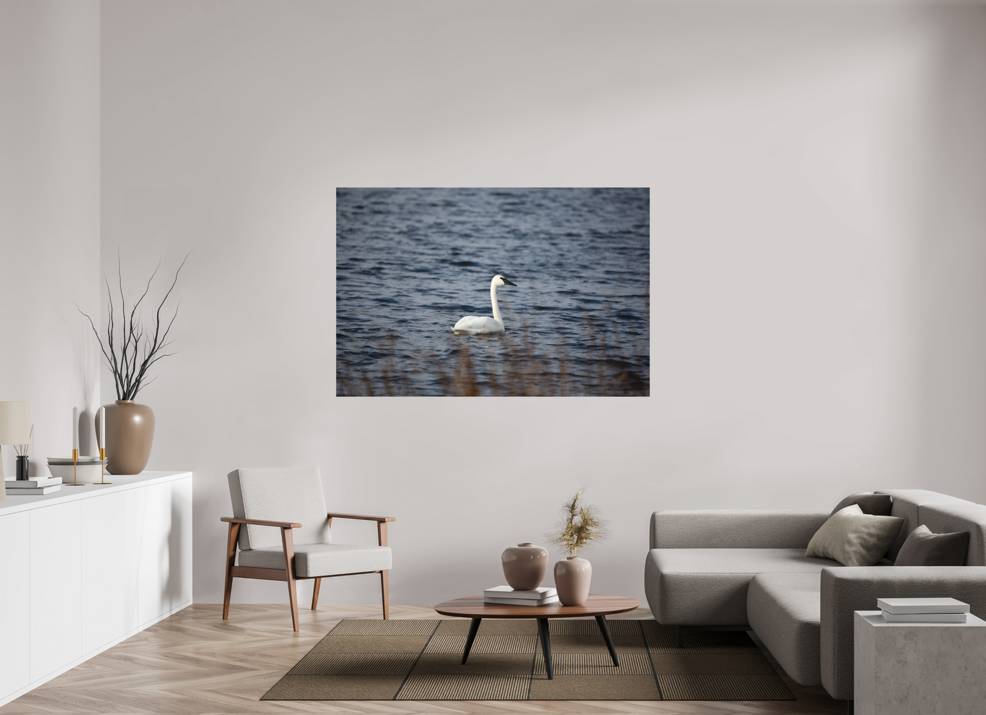 Tundra Swan - Print Only