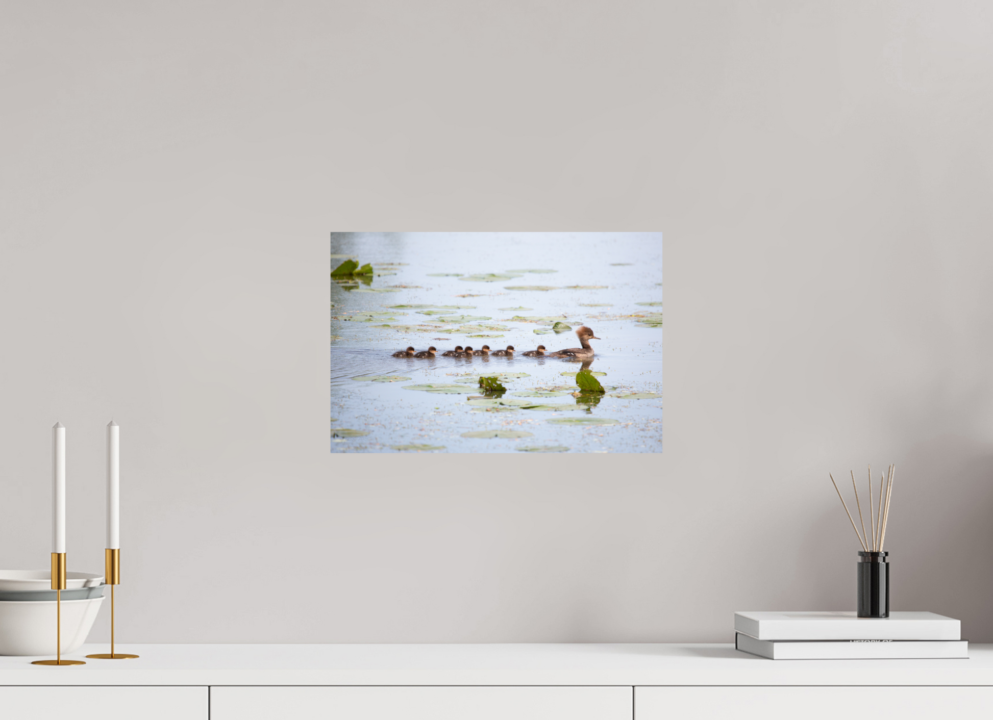 Hooded Merganser Momma - Print Only