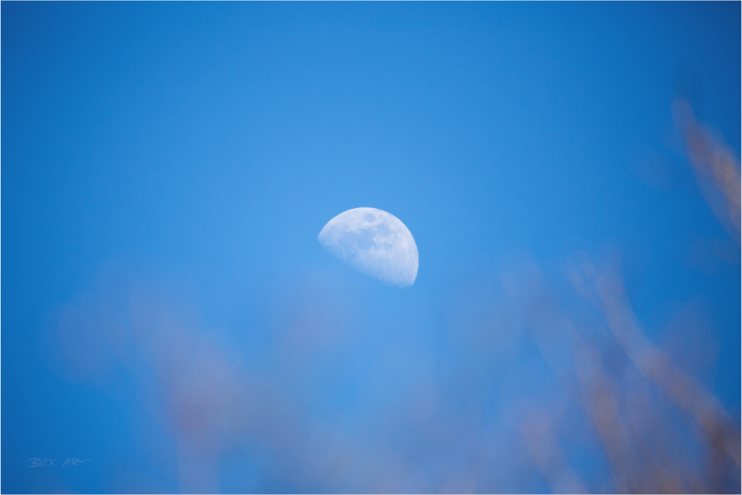Day Moon - Print Only