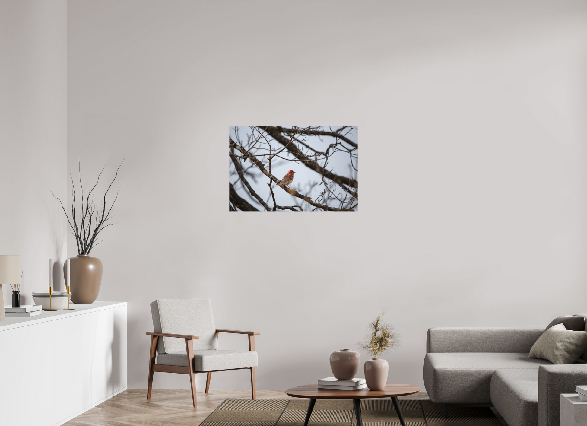 Purple Finch - Print Only