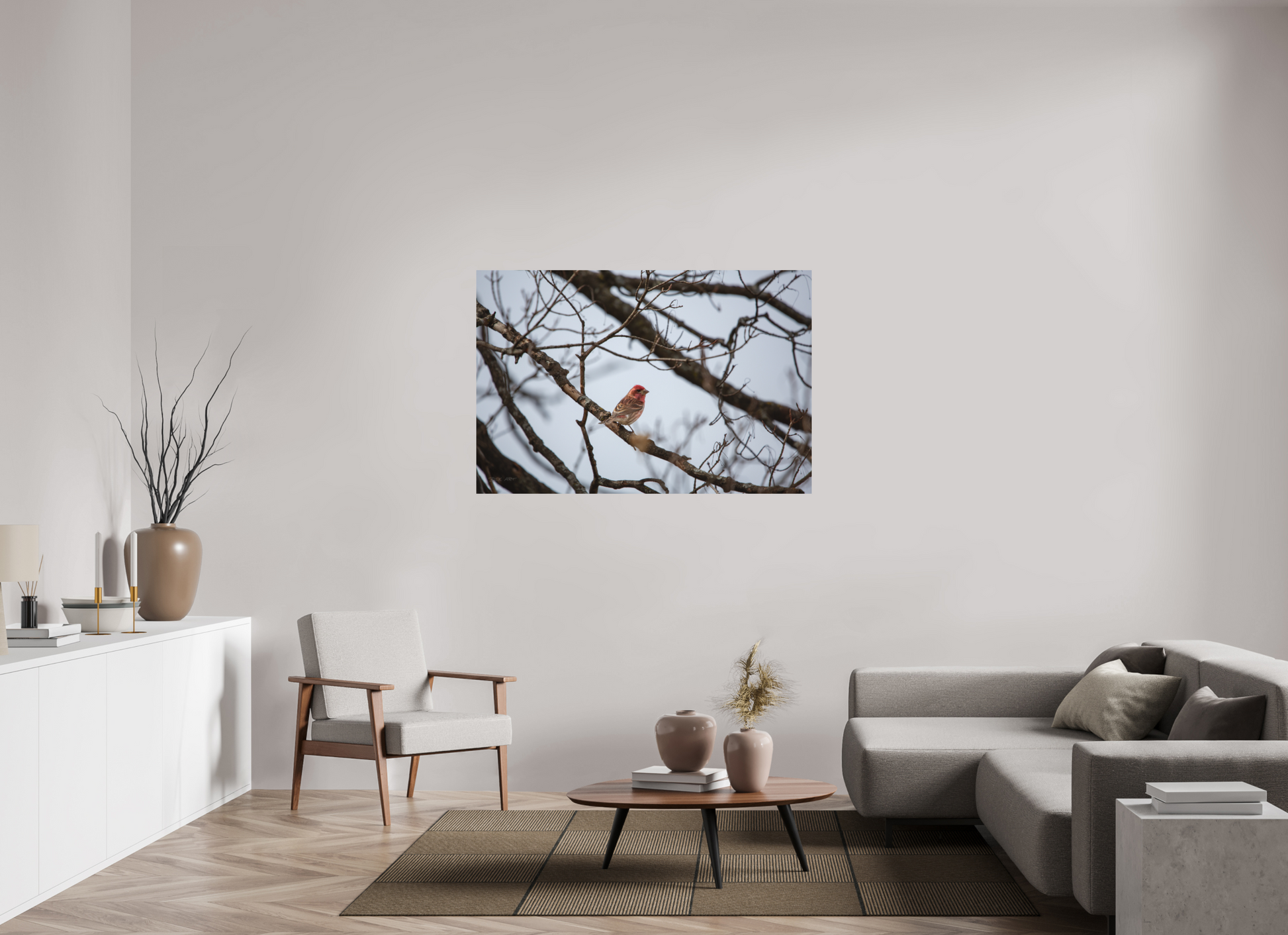 Purple Finch - Print Only