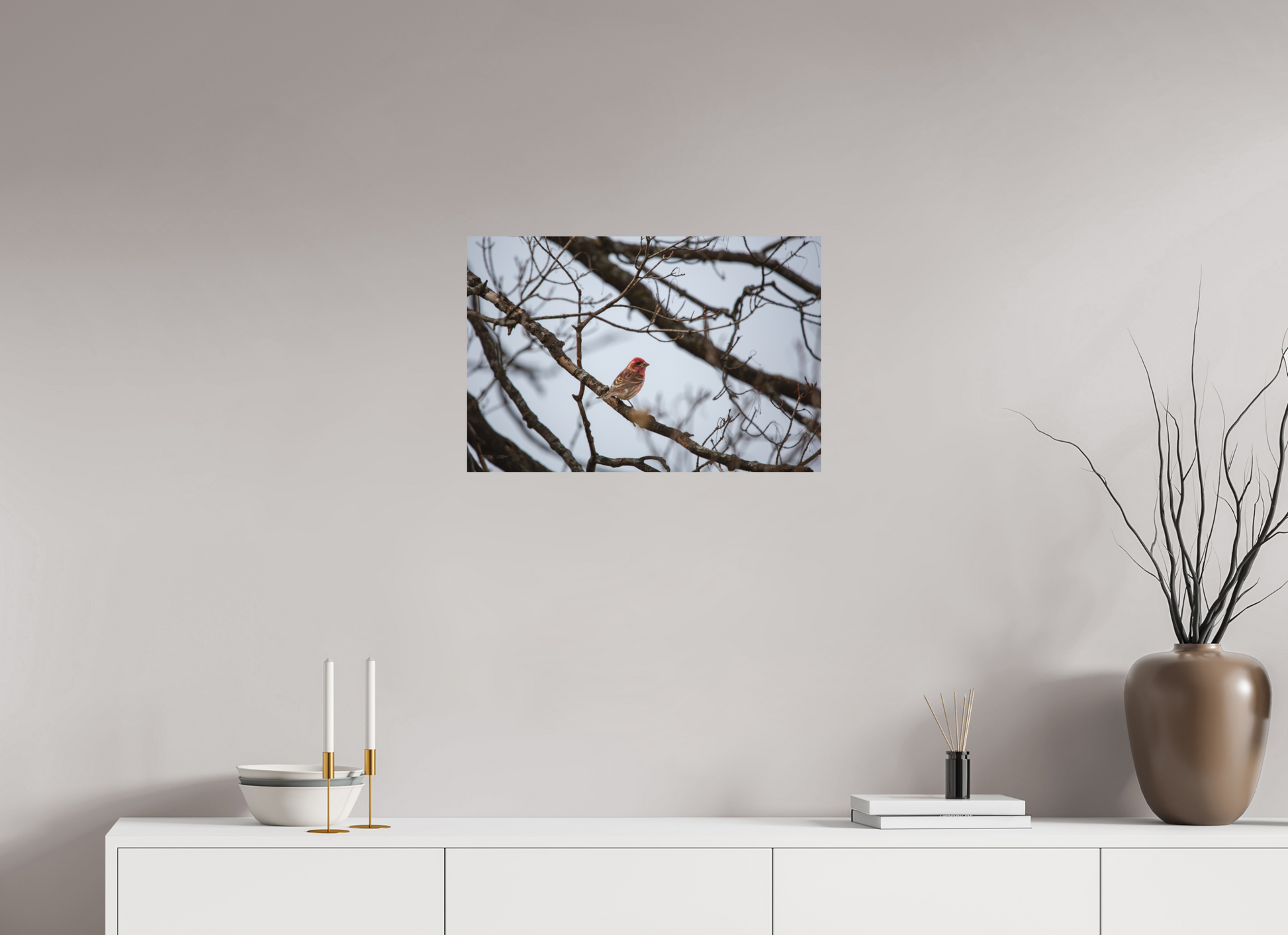 Purple Finch - Print Only