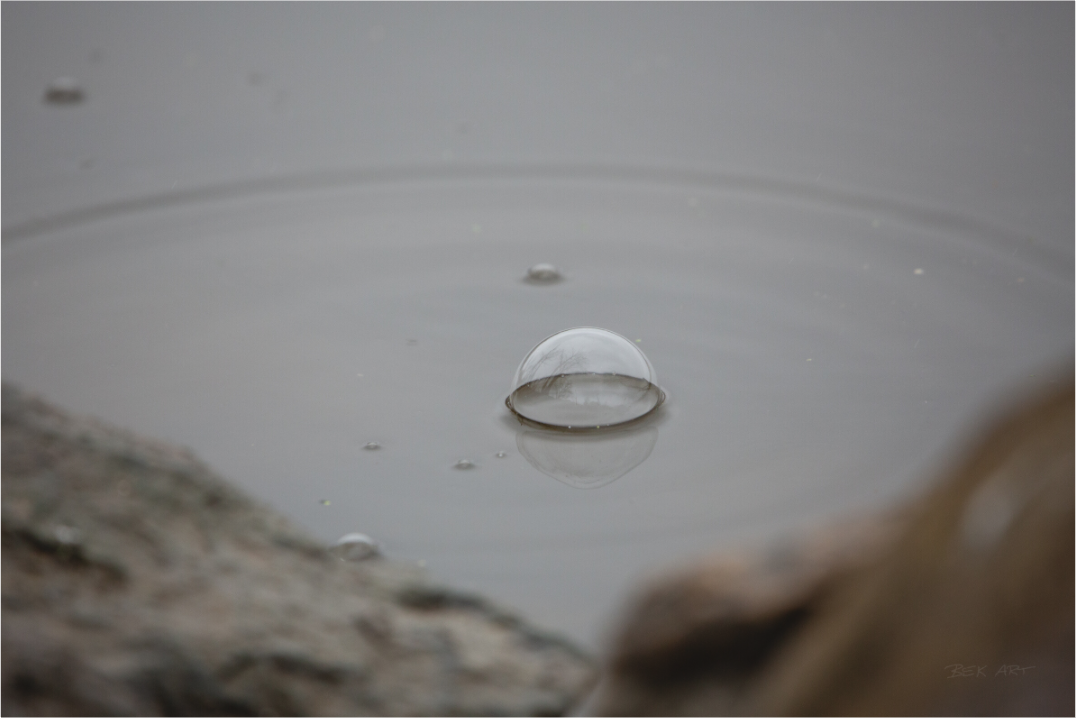 Water Drop Bubble - Print Only