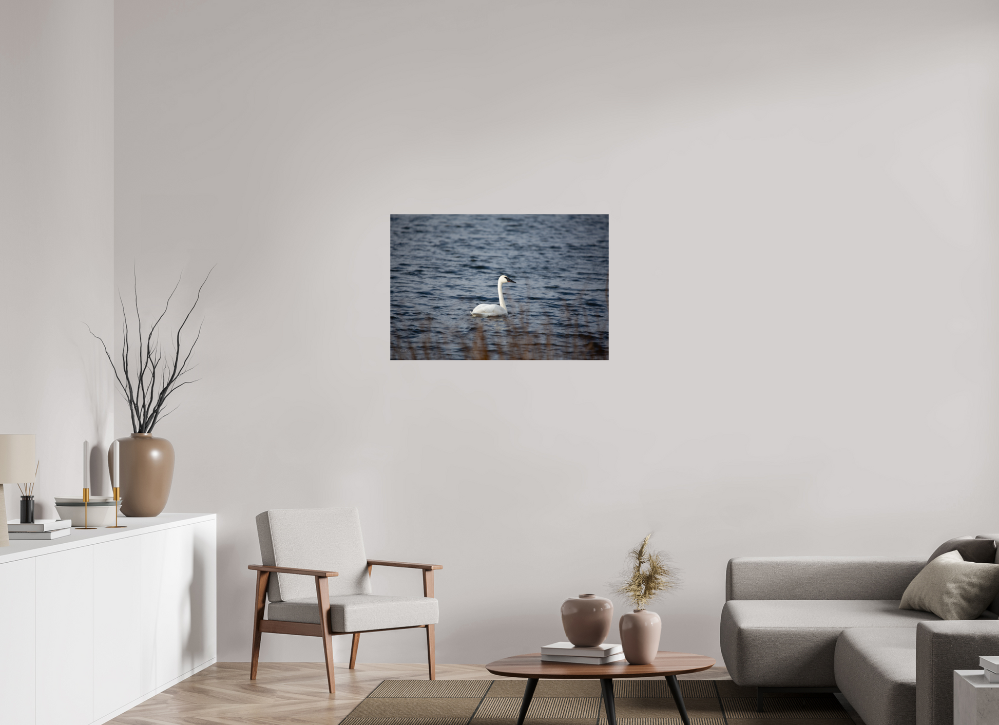 Tundra Swan - Print Only
