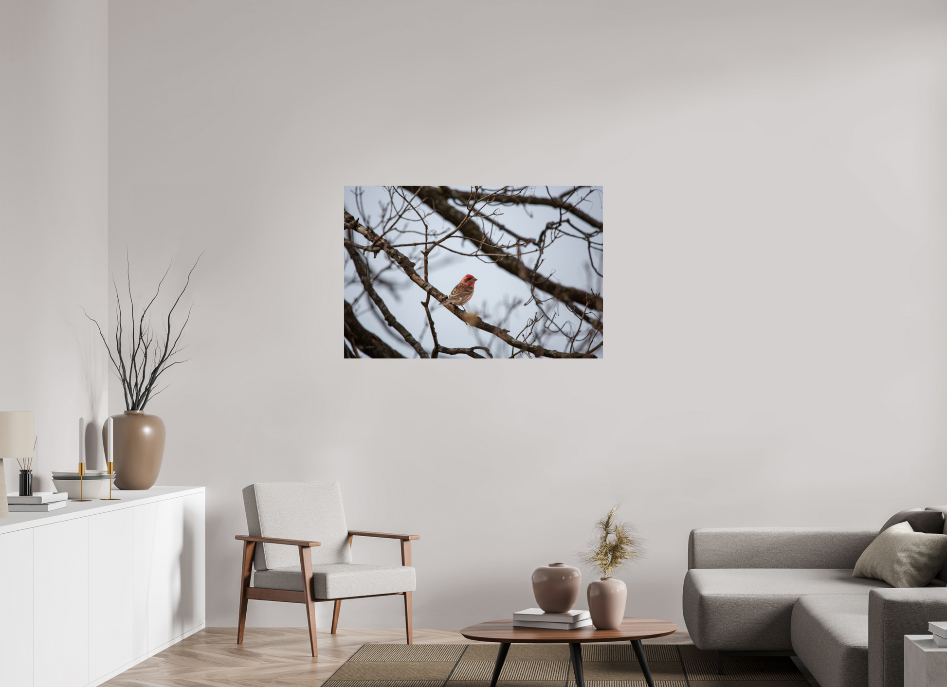 Purple Finch - Print Only