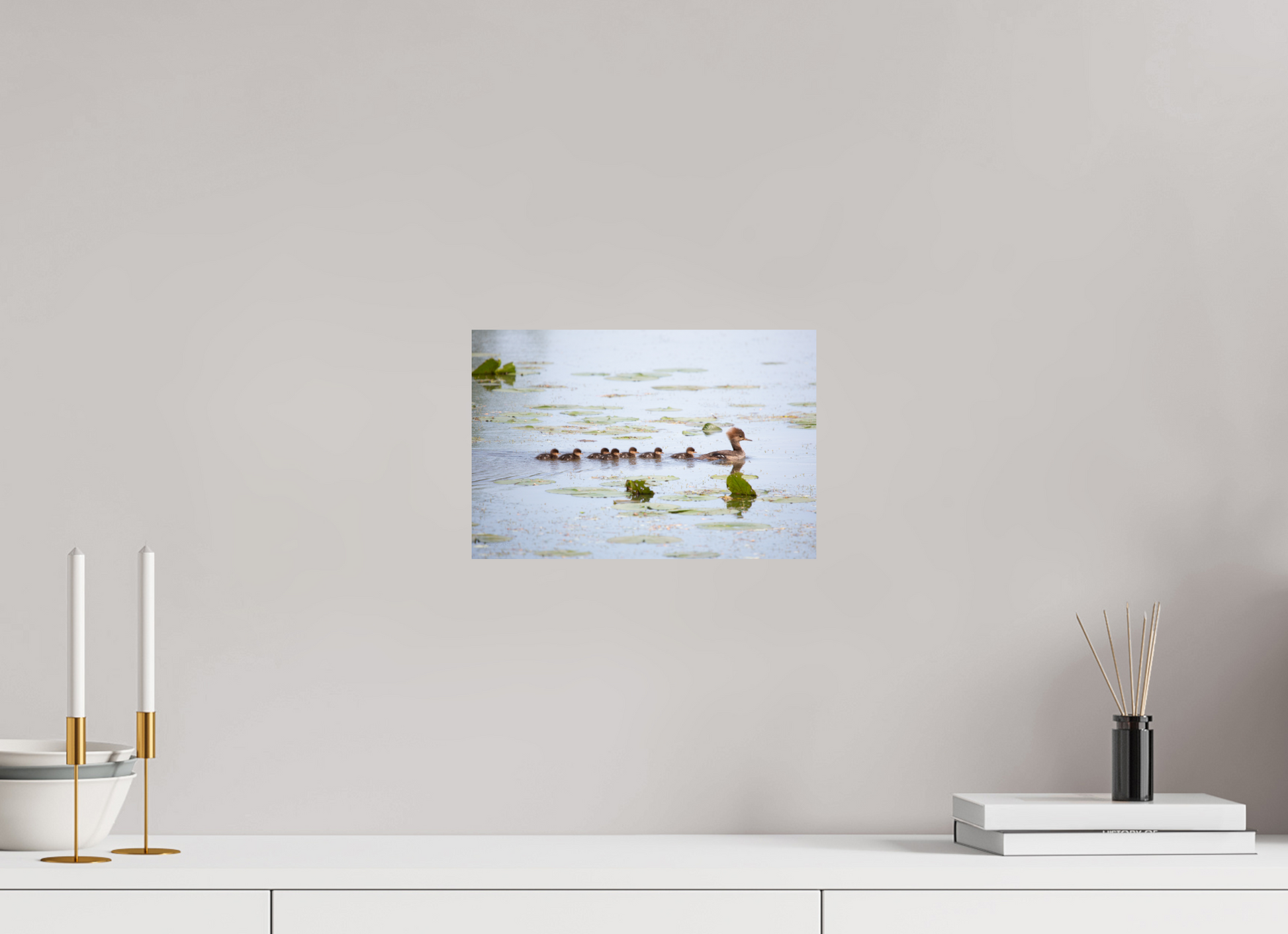 Hooded Merganser Momma - Print Only