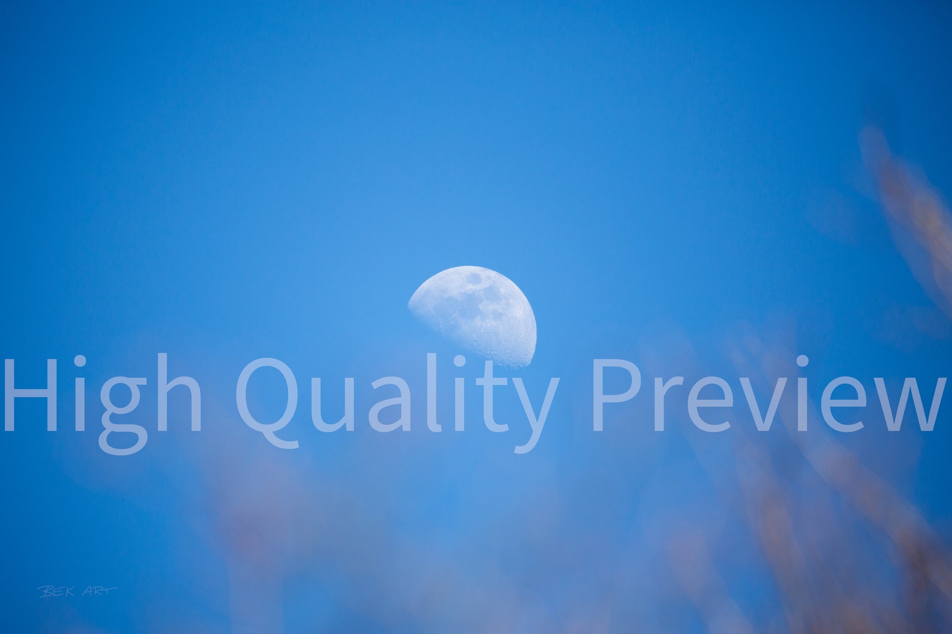 Day Moon - Print Only