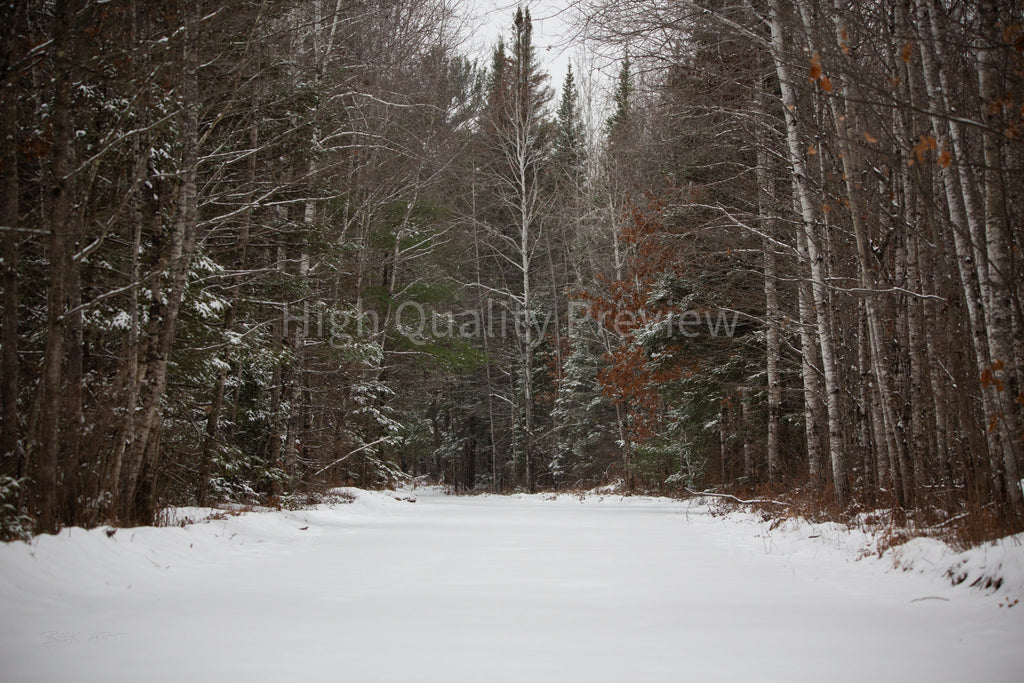Fresh Snow Country Road - Print Only