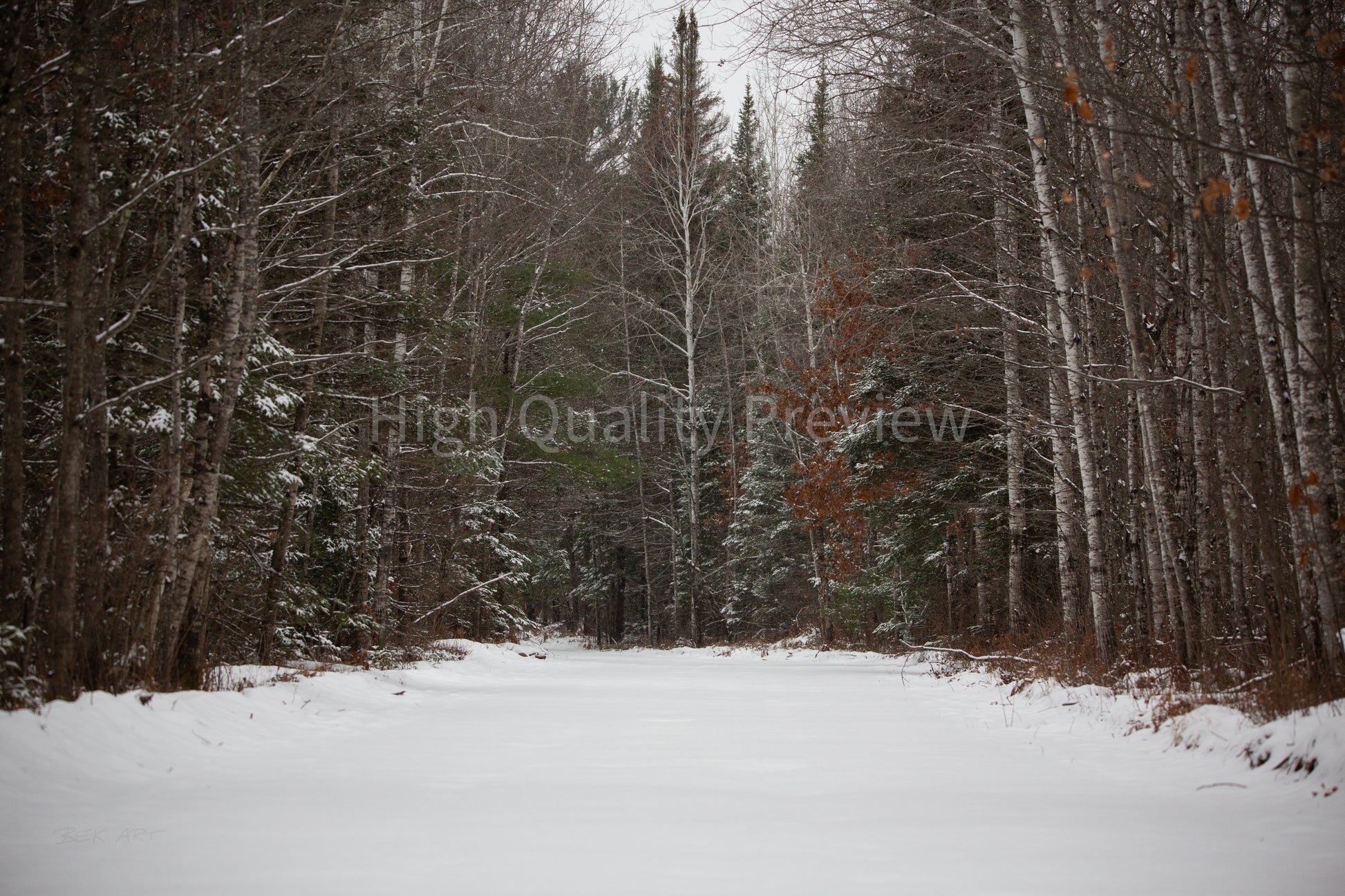 Fresh Snow Country Road - Print Only