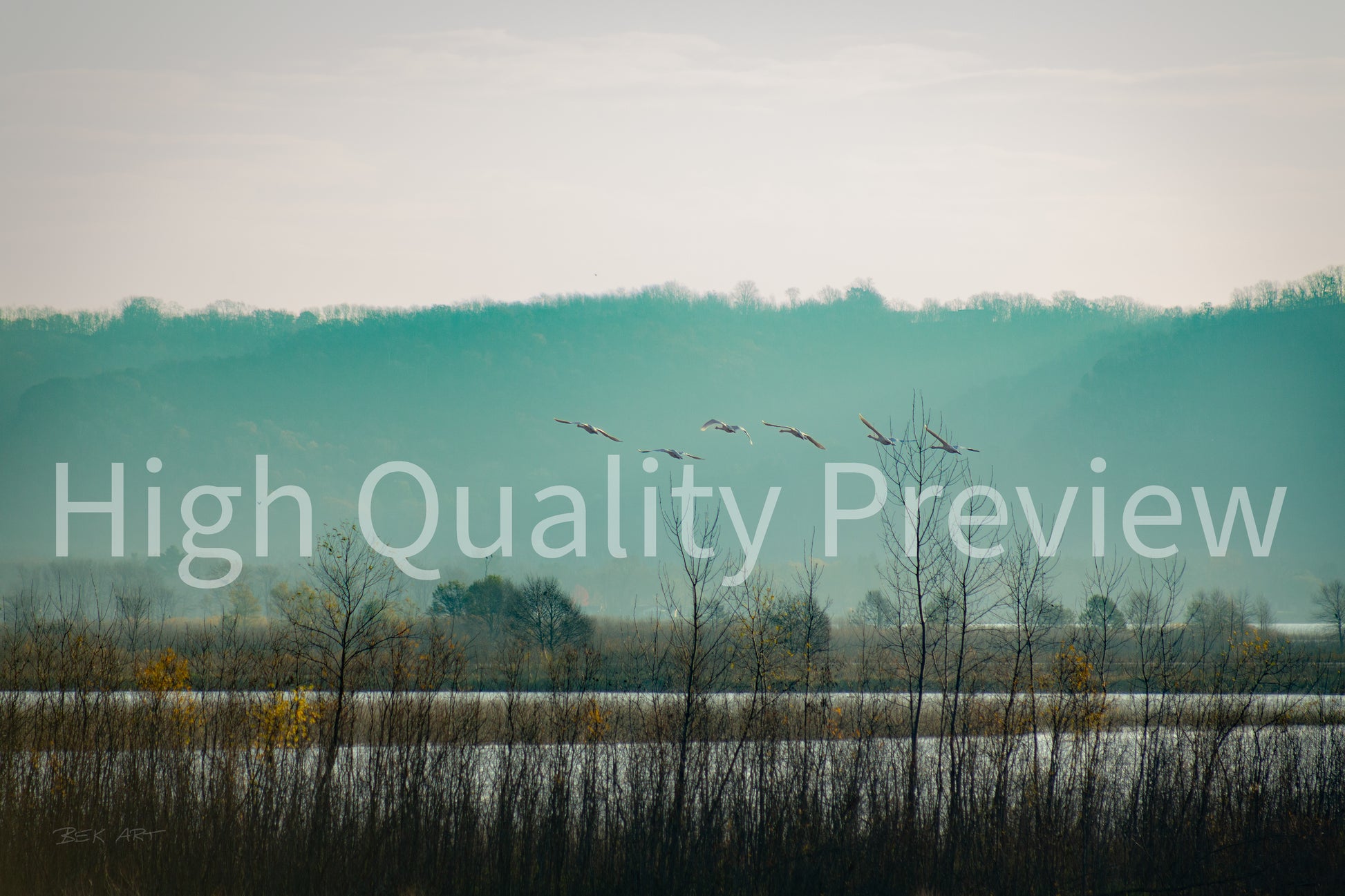 Swans Over Mississippi River - Print Only
