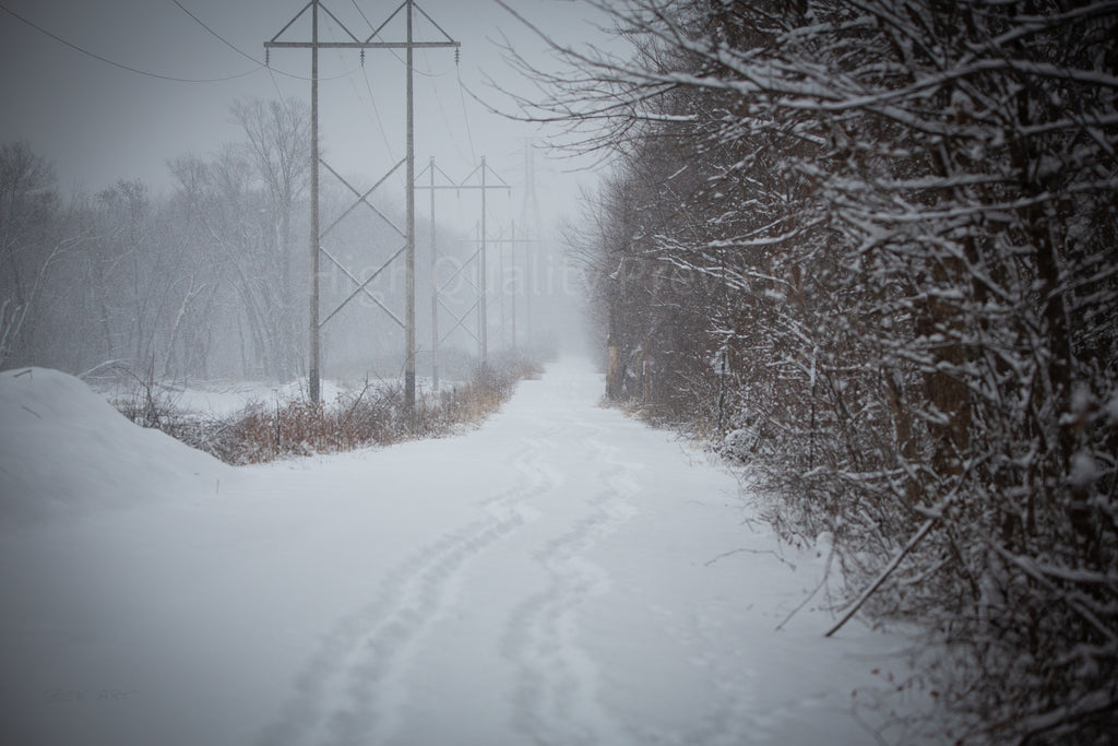 Walking Together Snowy Path - Print Only