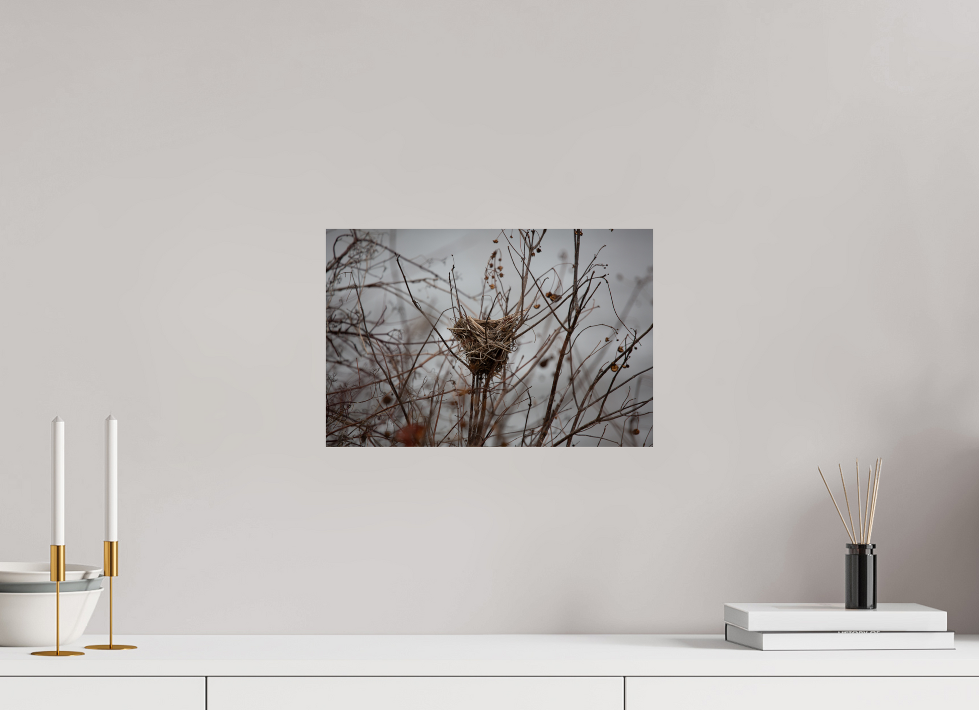 Bird Nest - Print Only
