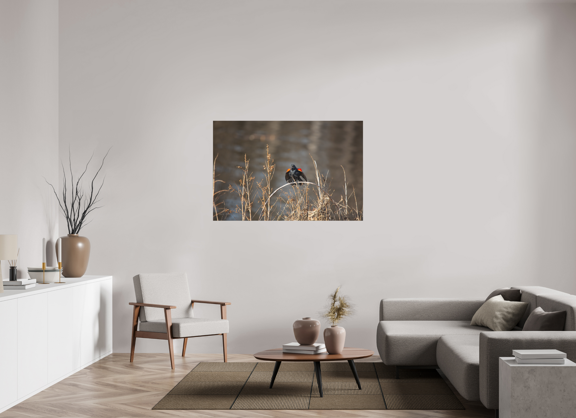 Red-Winged Blackbird - Print Only
