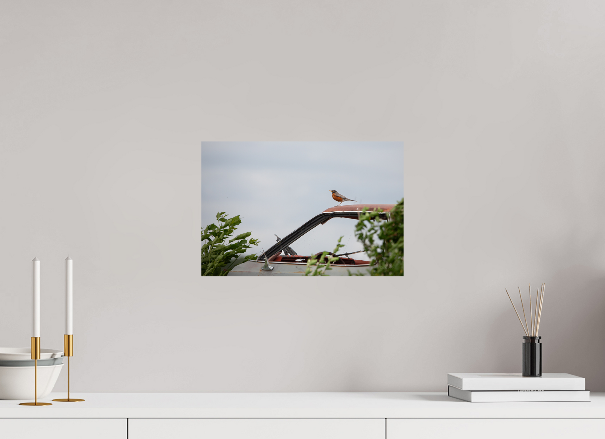 Robin on Old Car - Print Only