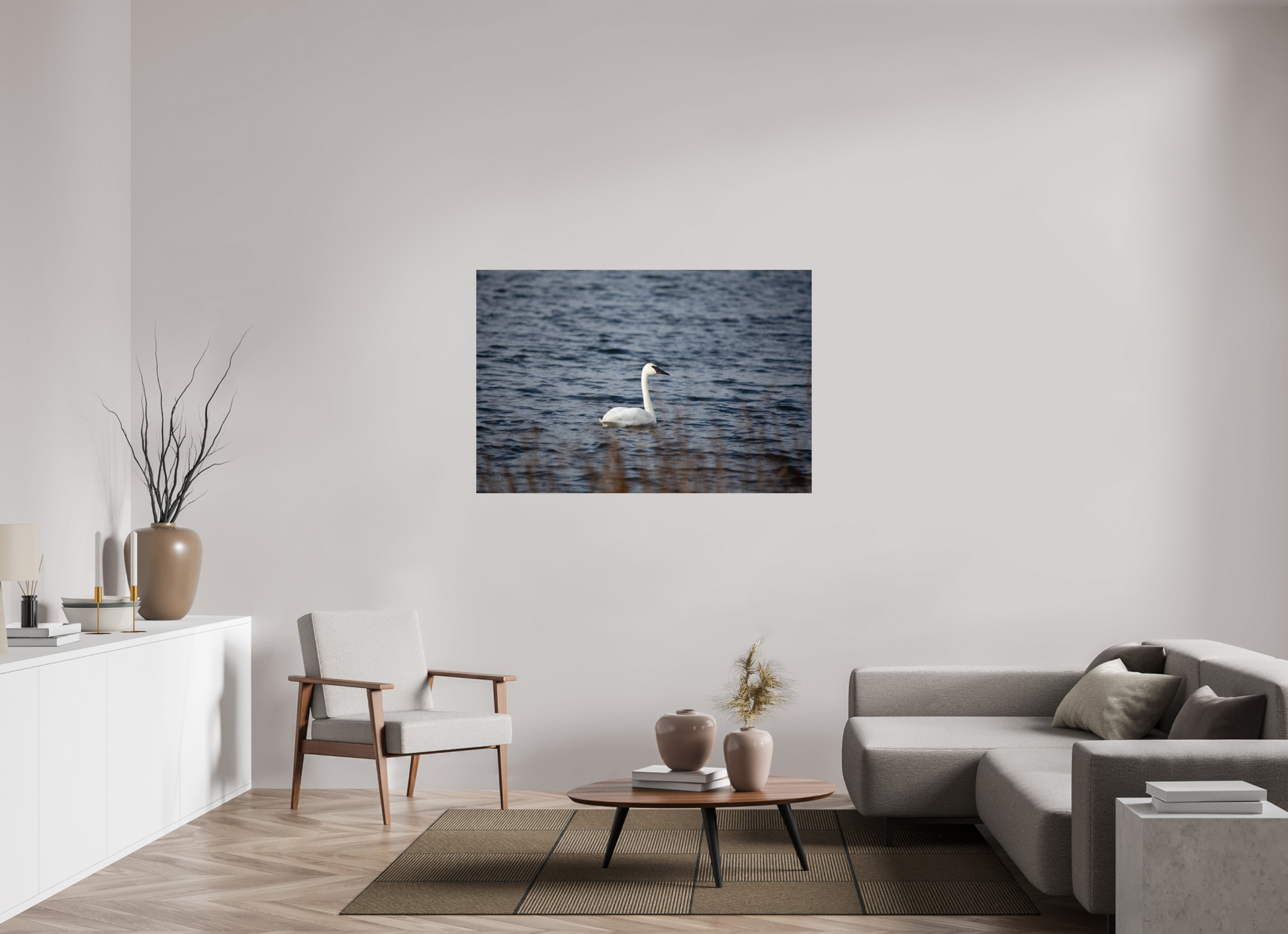 Tundra Swan - Print Only