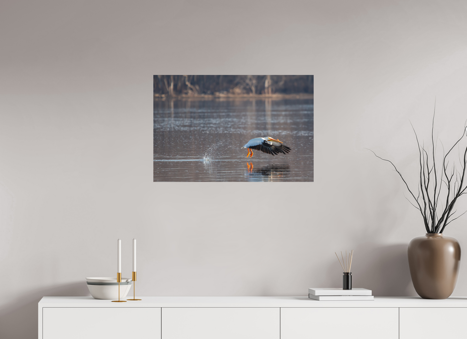 Pelican Taking Flight - Print Only