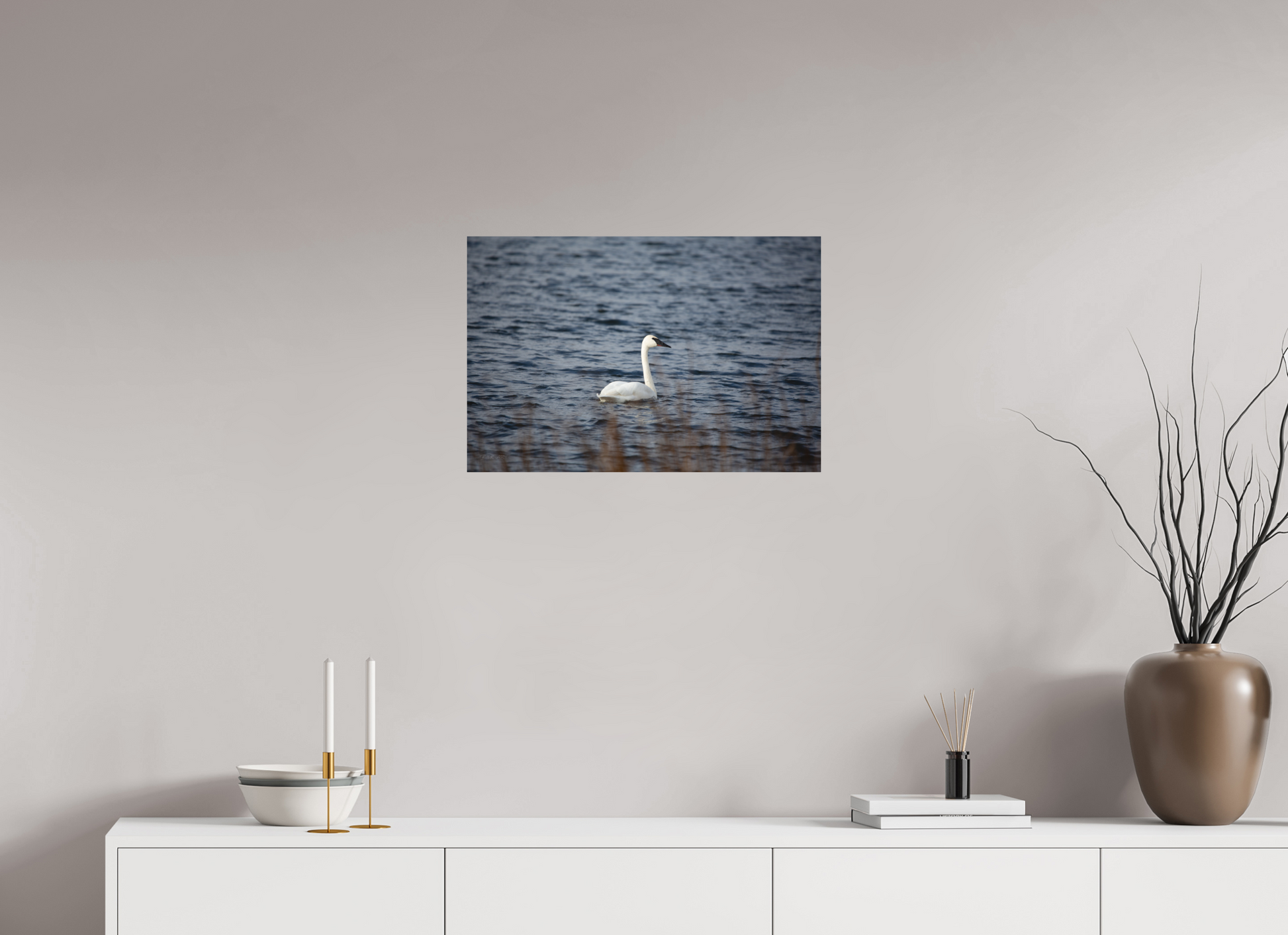 Tundra Swan - Print Only