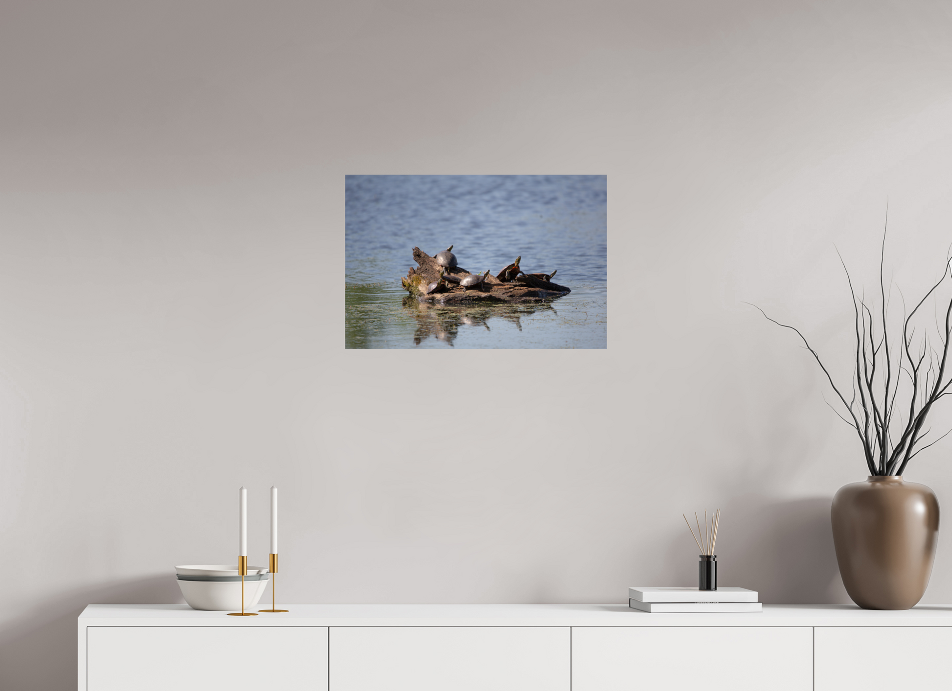 Turtle Team - Print Only