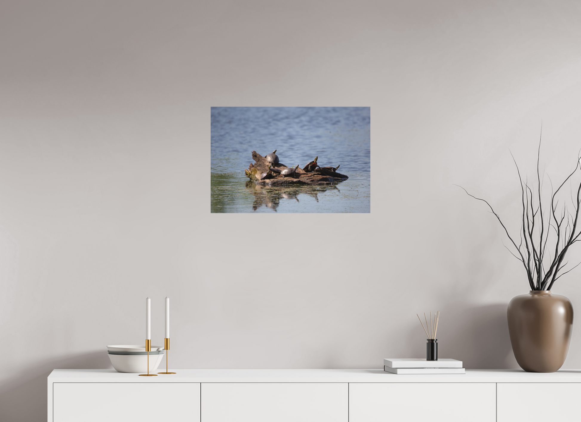 Turtle Team - Print Only