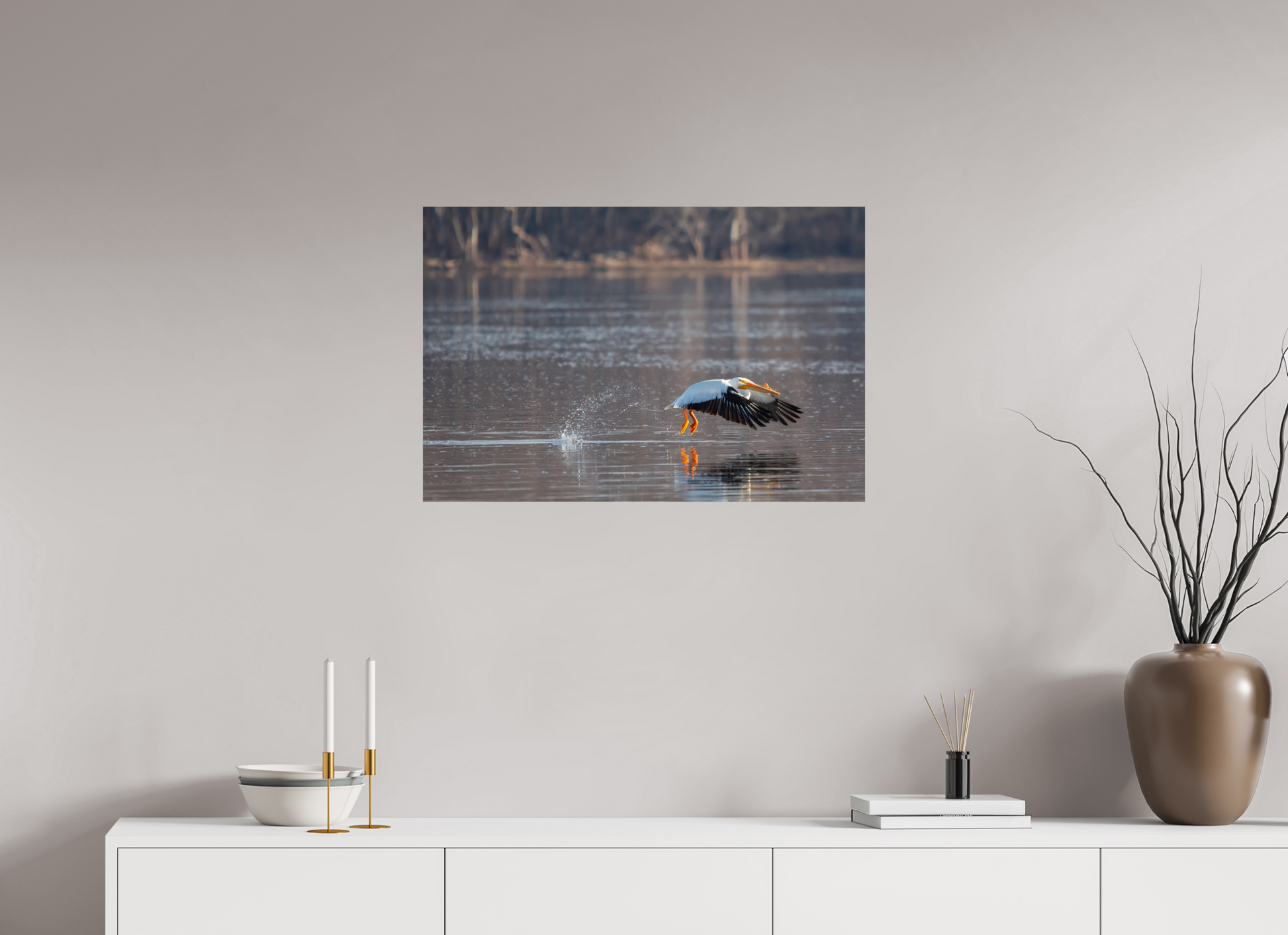Pelican Taking Flight - Print Only