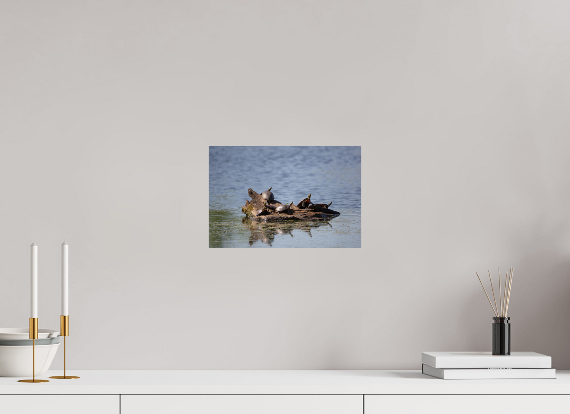 Turtle Team - Print Only